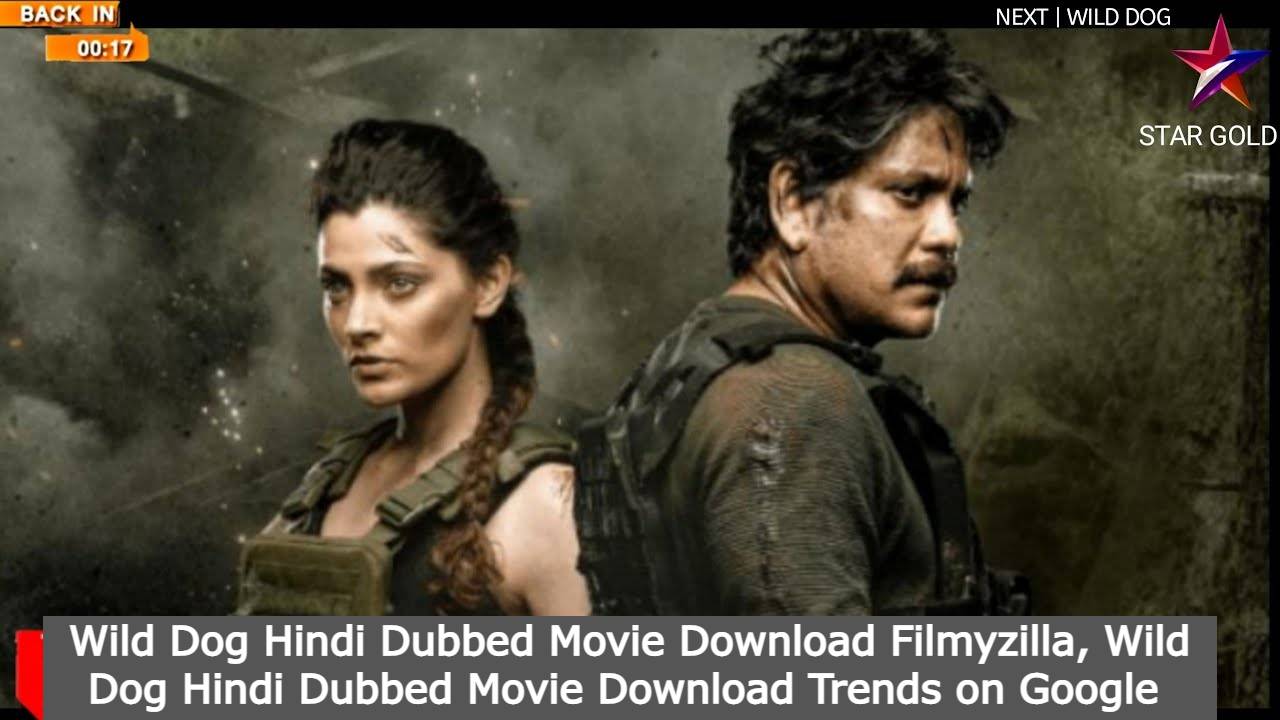 Wild Dog Hindi Dubbed Movie Download Filmyzilla, Wild Dog Hindi Dubbed Movie Download Trends on Google - Indian News Live Movies Reviews