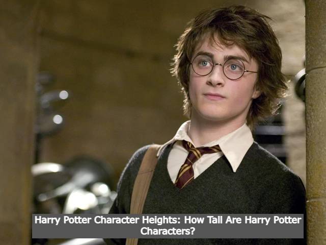 Harry Potter Character Heights: How Tall Are Harry Potter Characters?