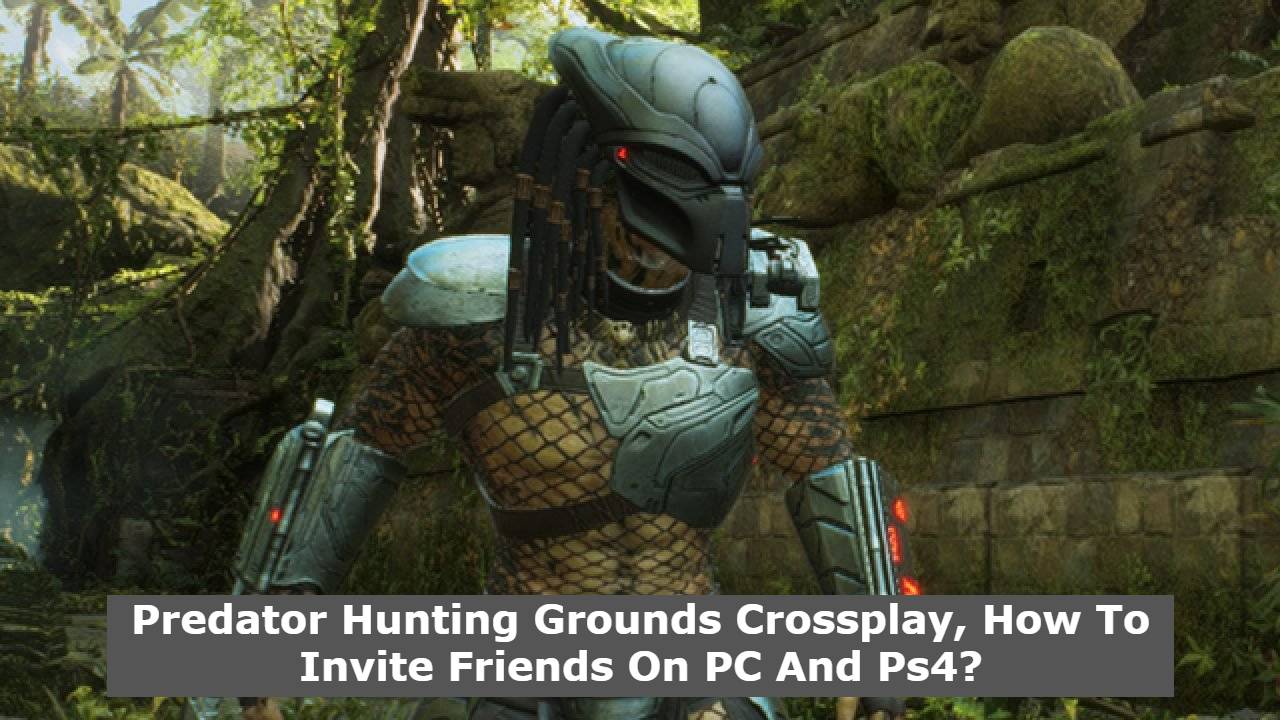 Predator Hunting Grounds Crossplay, How To Invite Friends On PC And Ps4