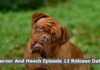 Turner And Hooch Episode 12 Release Date and Time, Countdown, When Is It Coming Out? Turner And Hooch Episode 12 Release Date and Time, Countdown, When Is It Coming Out?