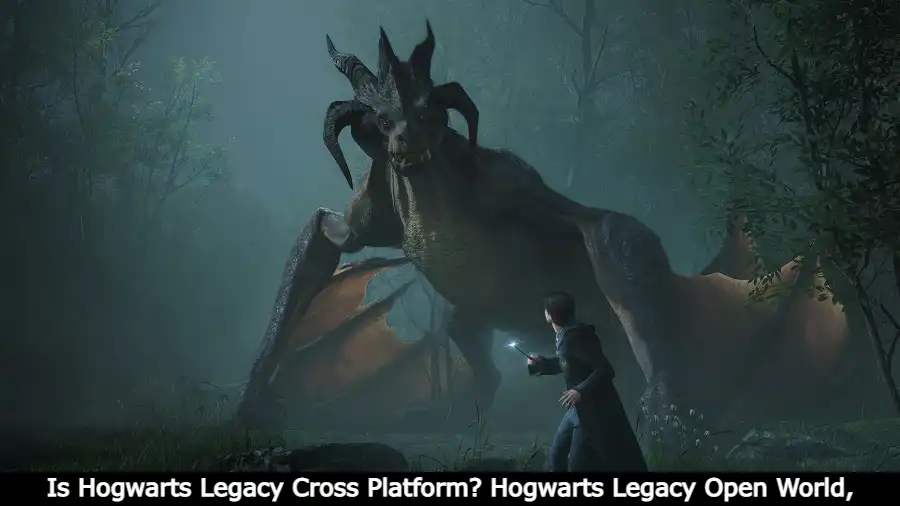 Hogwarts Legacy Open World, Platforms, Game Play, System Requirements