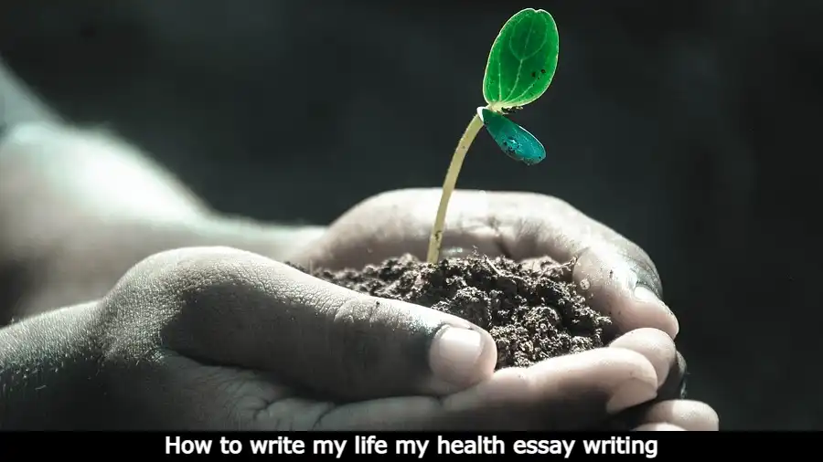 My life my health essay writing