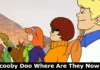 Scooby Doo Where Are They Now? Know Everything About Scooby Doo Cast Now Scooby Doo Where Are They Now? Know Everything About Scooby Doo Cast Now
