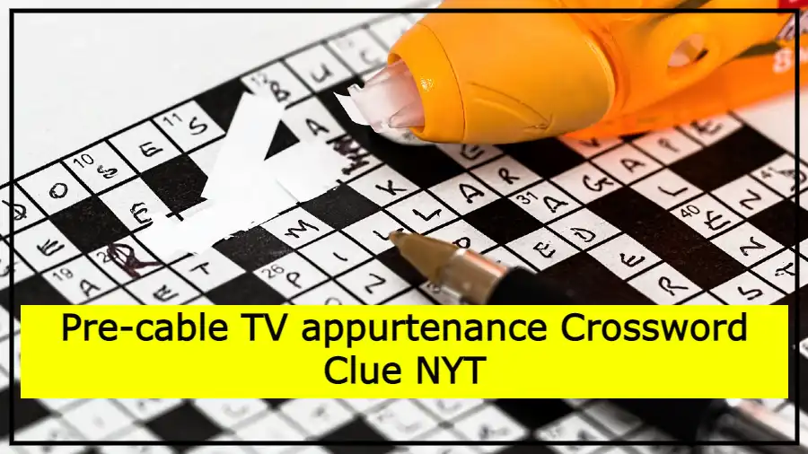 Pre-cable TV appurtenance Crossword Clue NYT