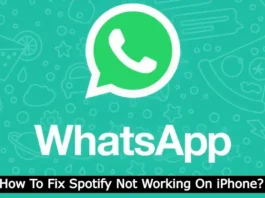 Why Is Whatsapp Notifications Not Showing On Apple Watch