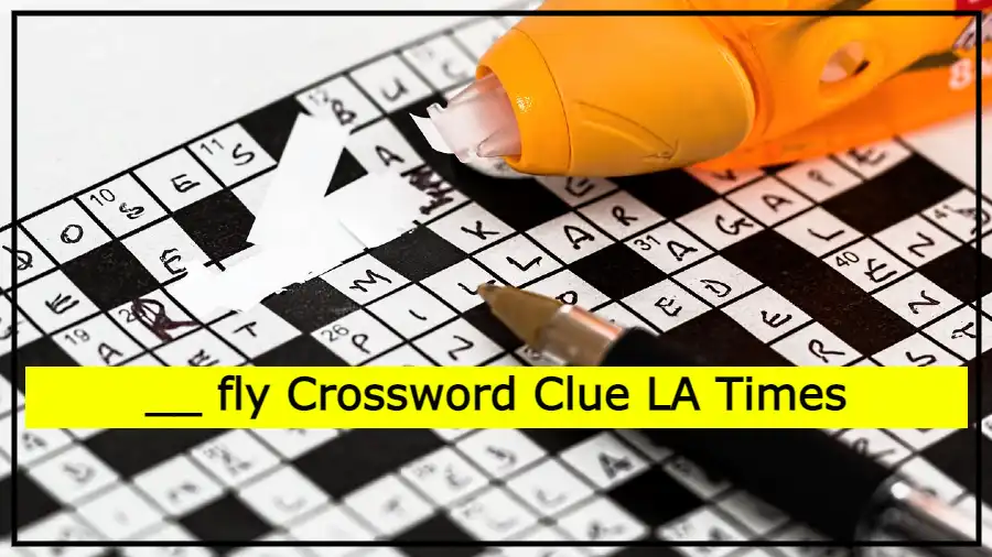 __ fly Crossword Clue LA Times