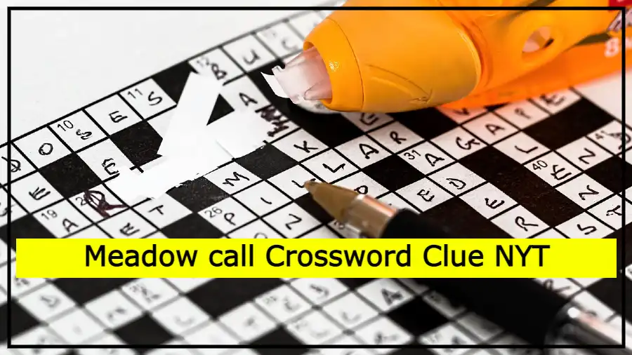 Meadow call Crossword Clue NYT