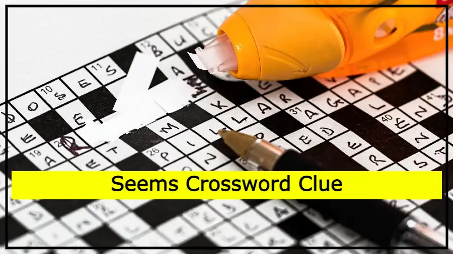 Seems Crossword Clue