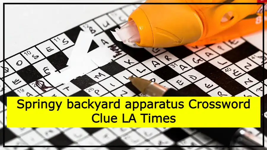 Springy backyard apparatus Crossword Clue LA Times
