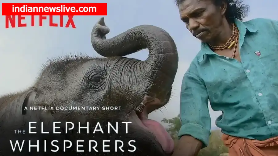 The Elephant Whisperers Download